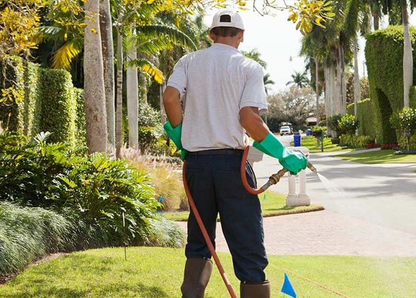 About Lafe AR Pest Control Pros